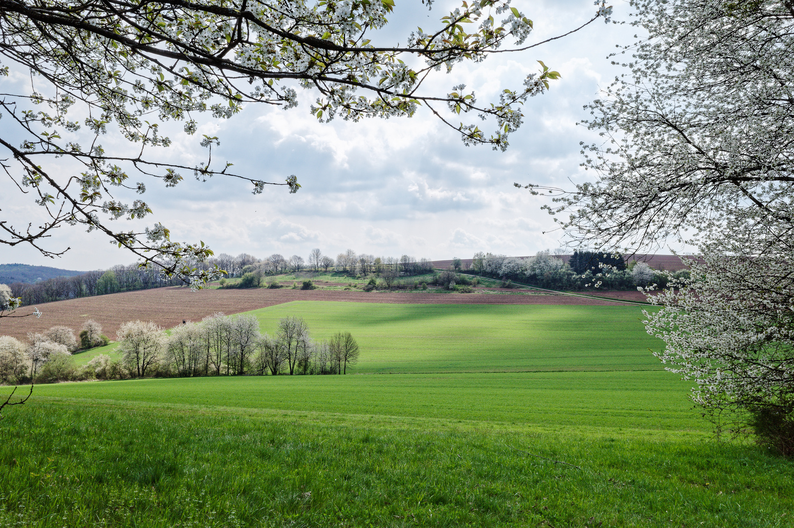 Frühlingslandschaft im Saarland