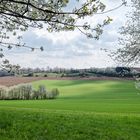 Frühlingslandschaft im Saarland