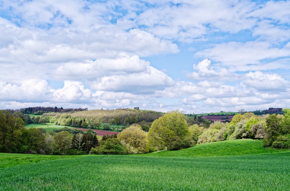 Frühlingslandschaft im Saarland