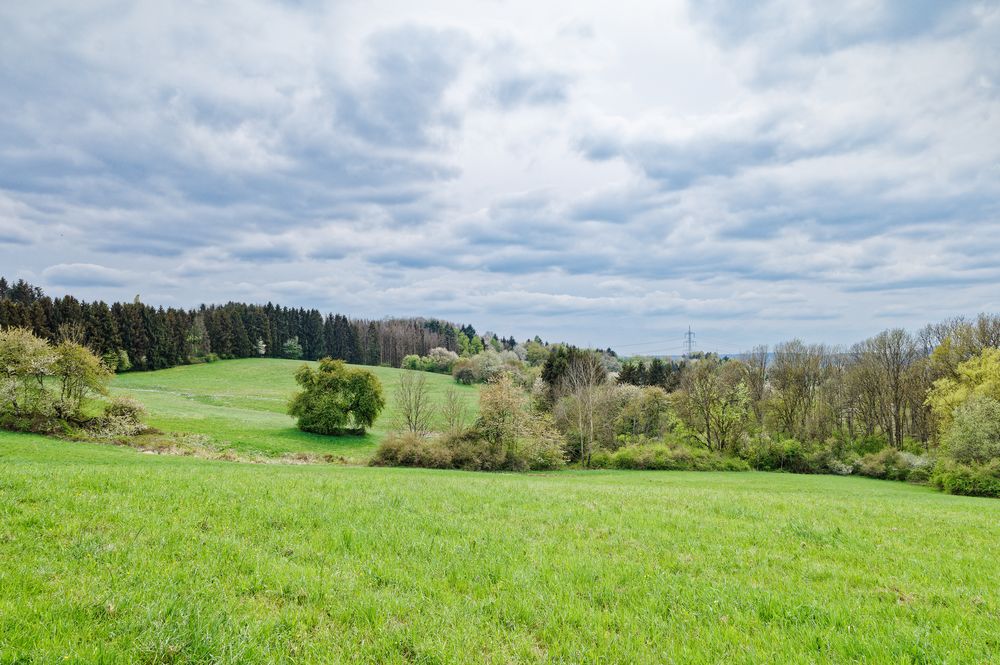 Frühlingslandschaft im Saarland 