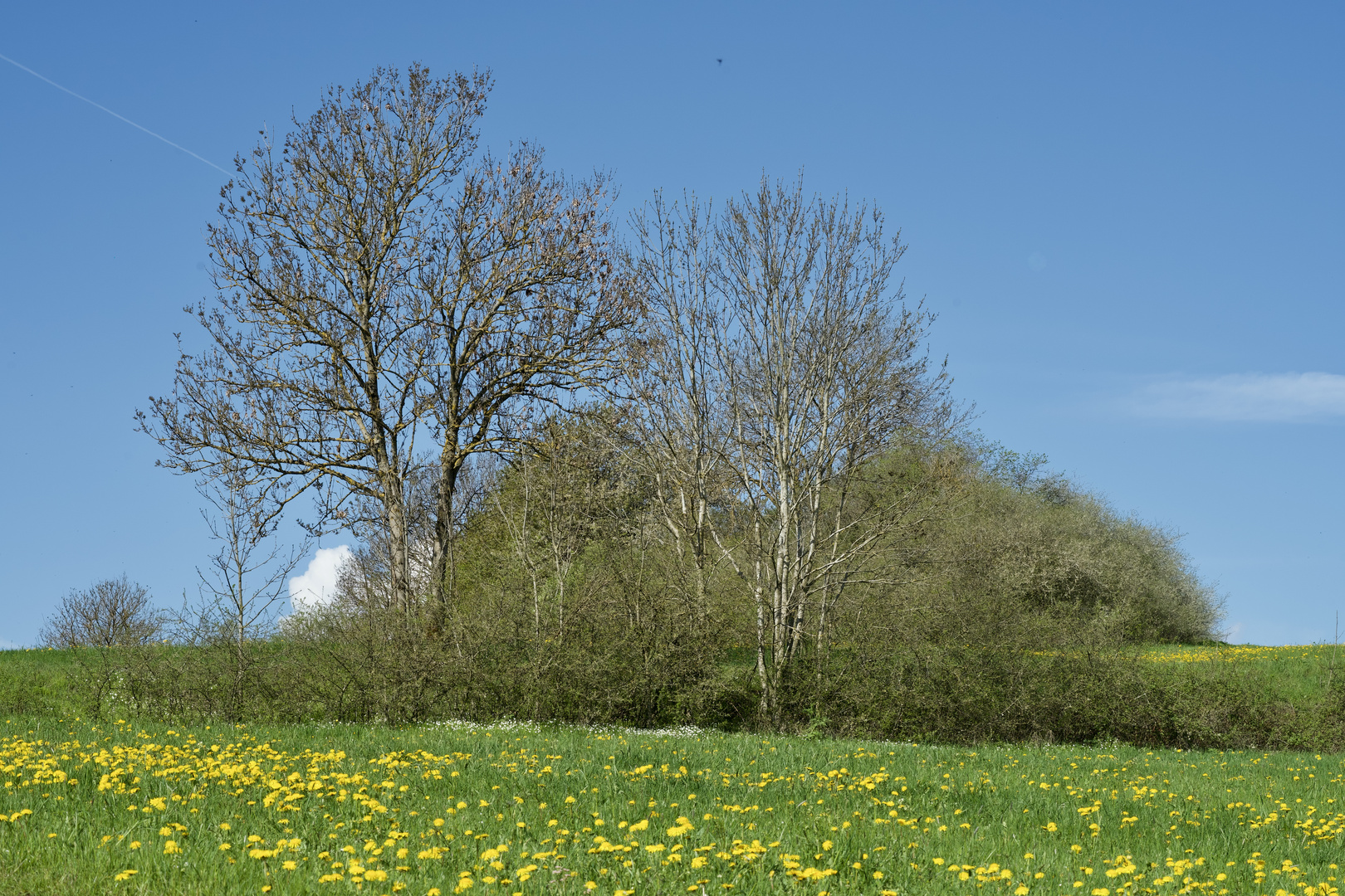 Frühlingslandschaft im Westerwald farbig