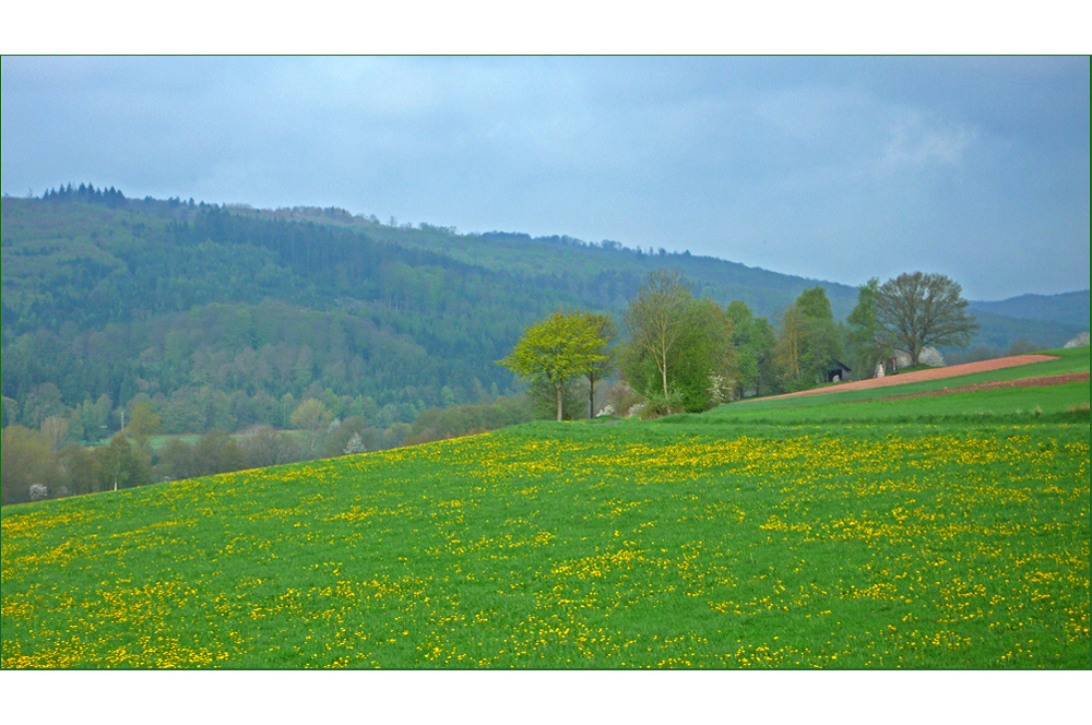 Frühlingslandschaft in Hessen....