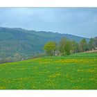 Frühlingslandschaft in Hessen....