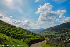 Frühlingslandschaft in Kappelrodeck