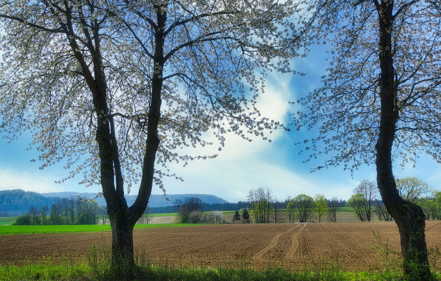 Frühlingslandschaft-reload