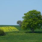 Frühlingslandschaft Weserbergland