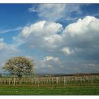 Frühlingslandschaft - Wolken im Anzug