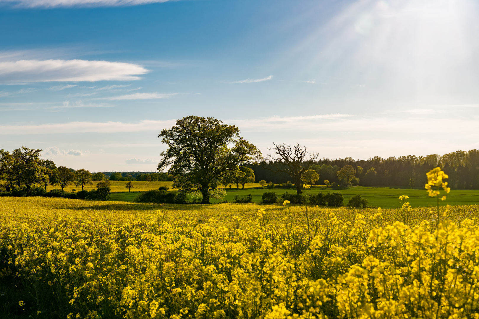 Frühlingslandschaft zum Genießen