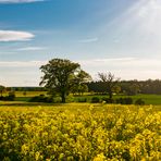 Frühlingslandschaft zum Genießen