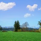 Frühlingslandschaft,Alpenvorland