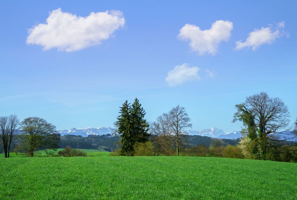 Frühlingslandschaft,Alpenvorland