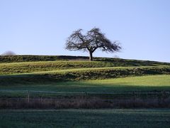 Frühlingslicht