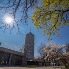 Frühlingslicht am Hotelturm Augsburg