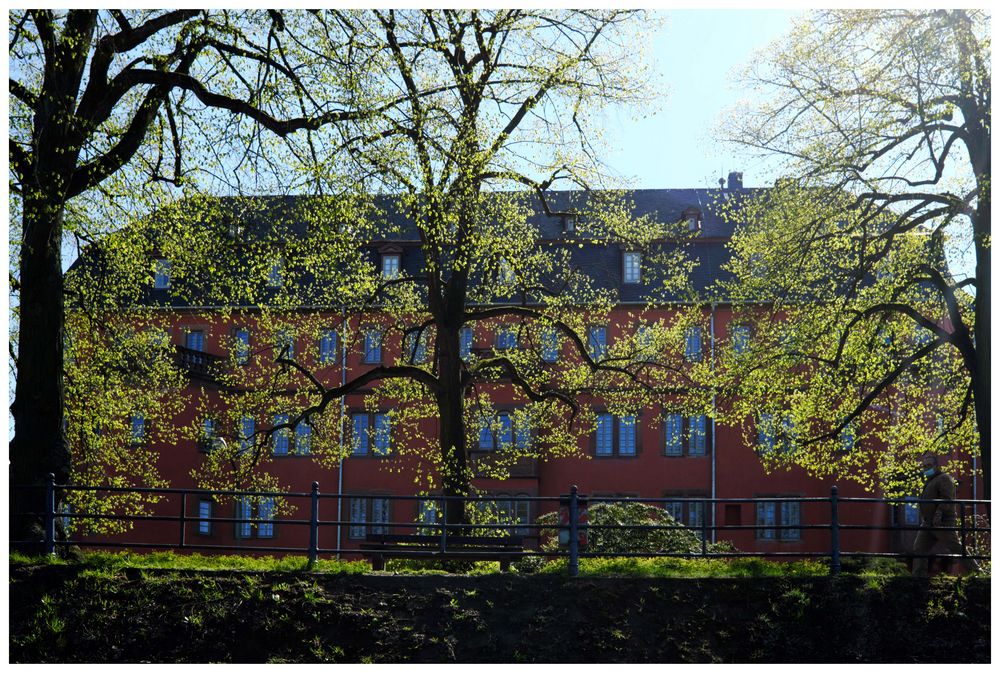 Frühlingslicht am Isenburger Schloss