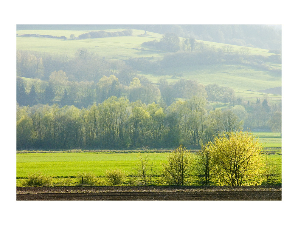 Frühlingslicht scheint ins Land... - (noch ein Augen-Spazier-Bild)