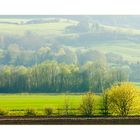 Frühlingslicht scheint ins Land... - (noch ein Augen-Spazier-Bild)