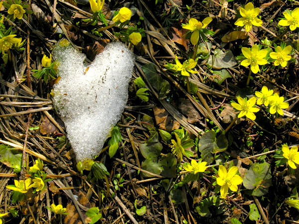 Frühlingsliebe