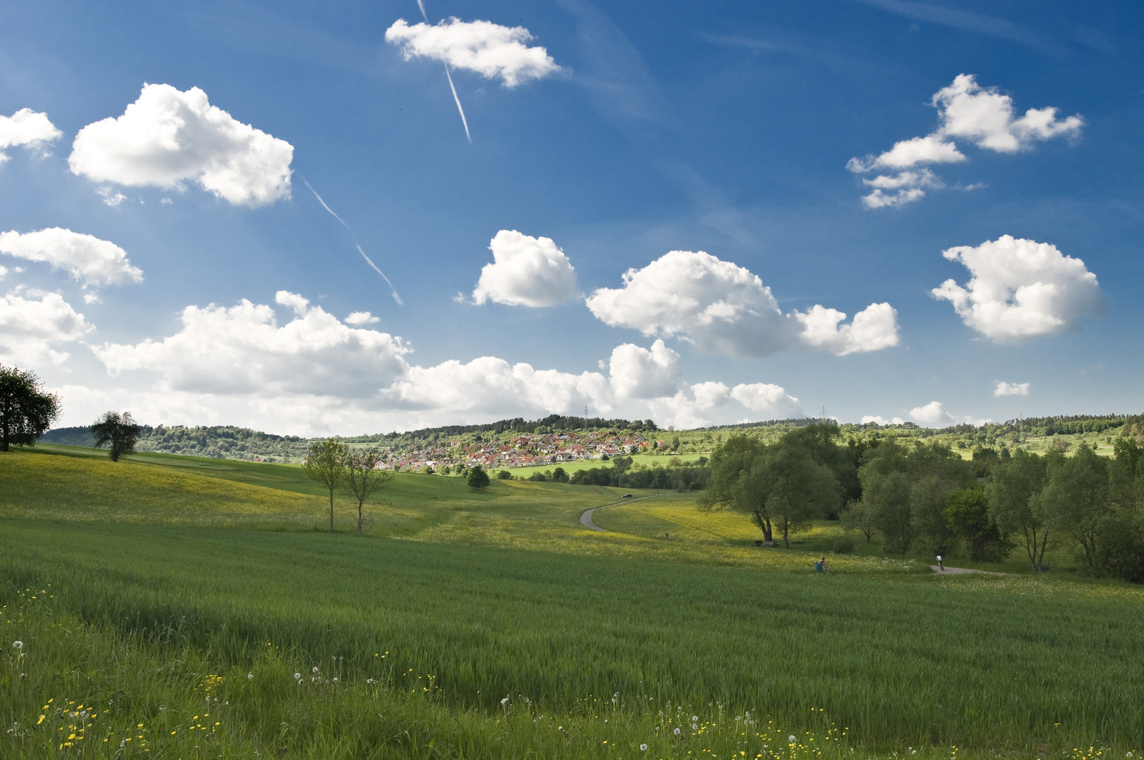 Frühlingslüftchen