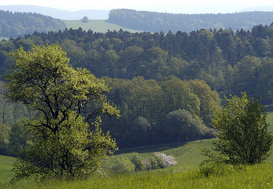 Frühlingsluft