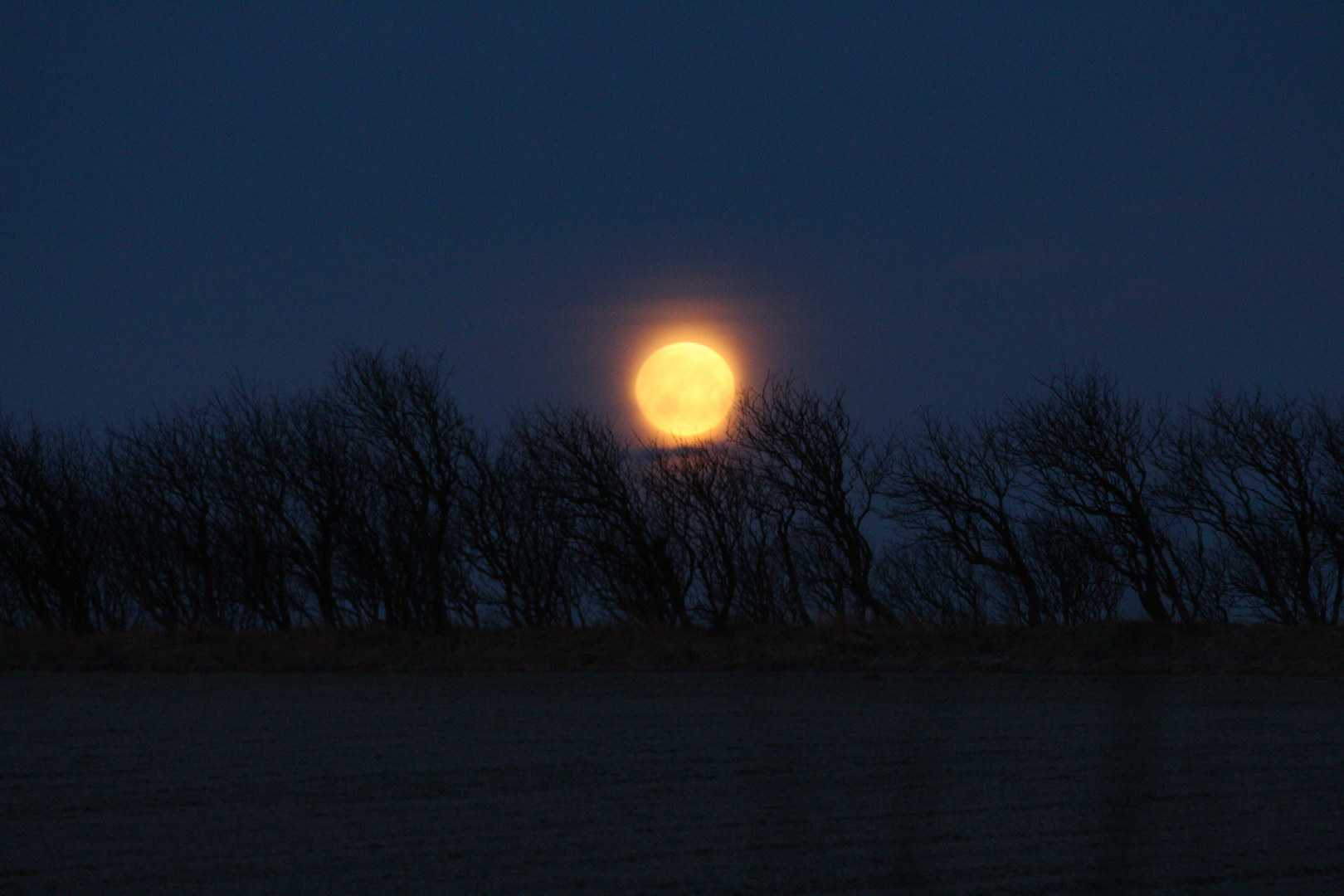 Frühlingsmond