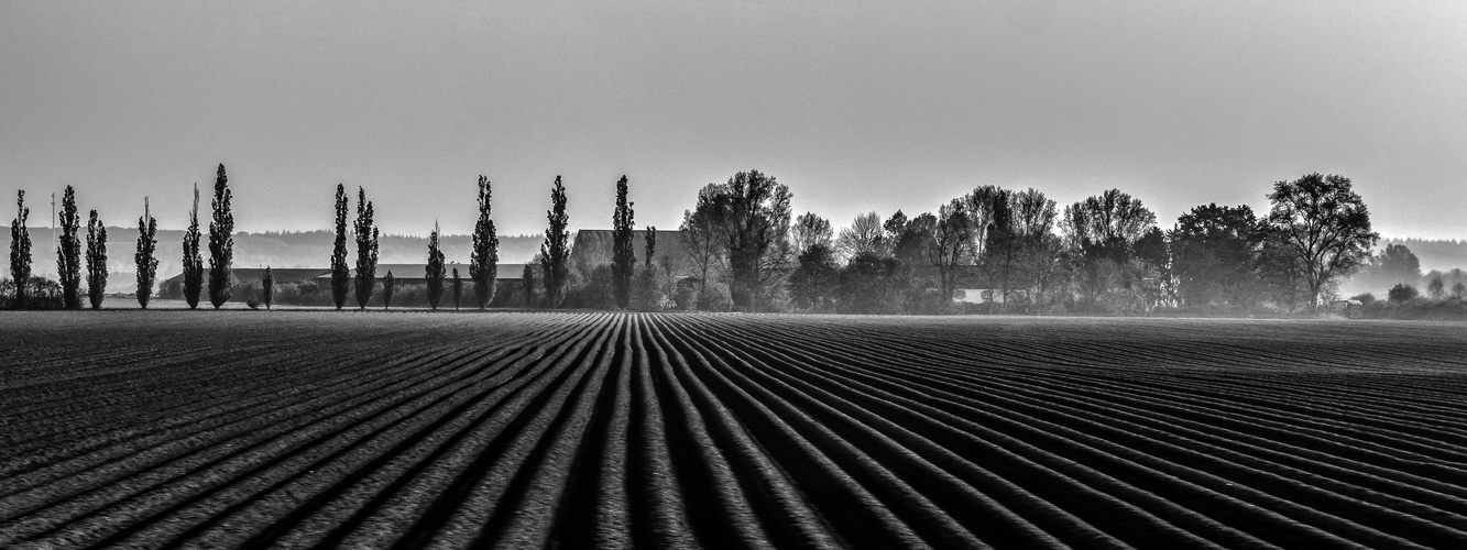 Frühlingsmorgen