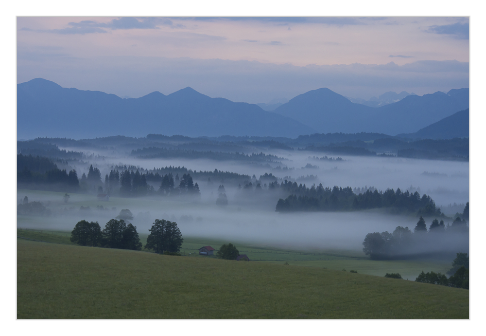 Frühlingsmorgen....