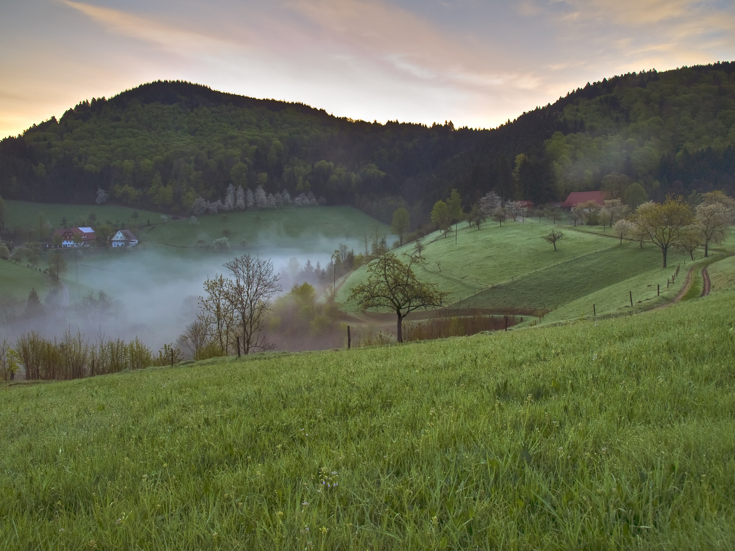 Frühlingsmorgen