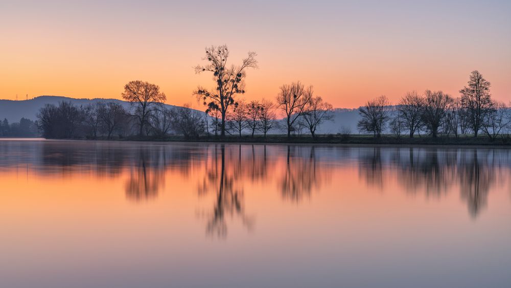 *Frühlingsmorgen 2022 an der Mosel*