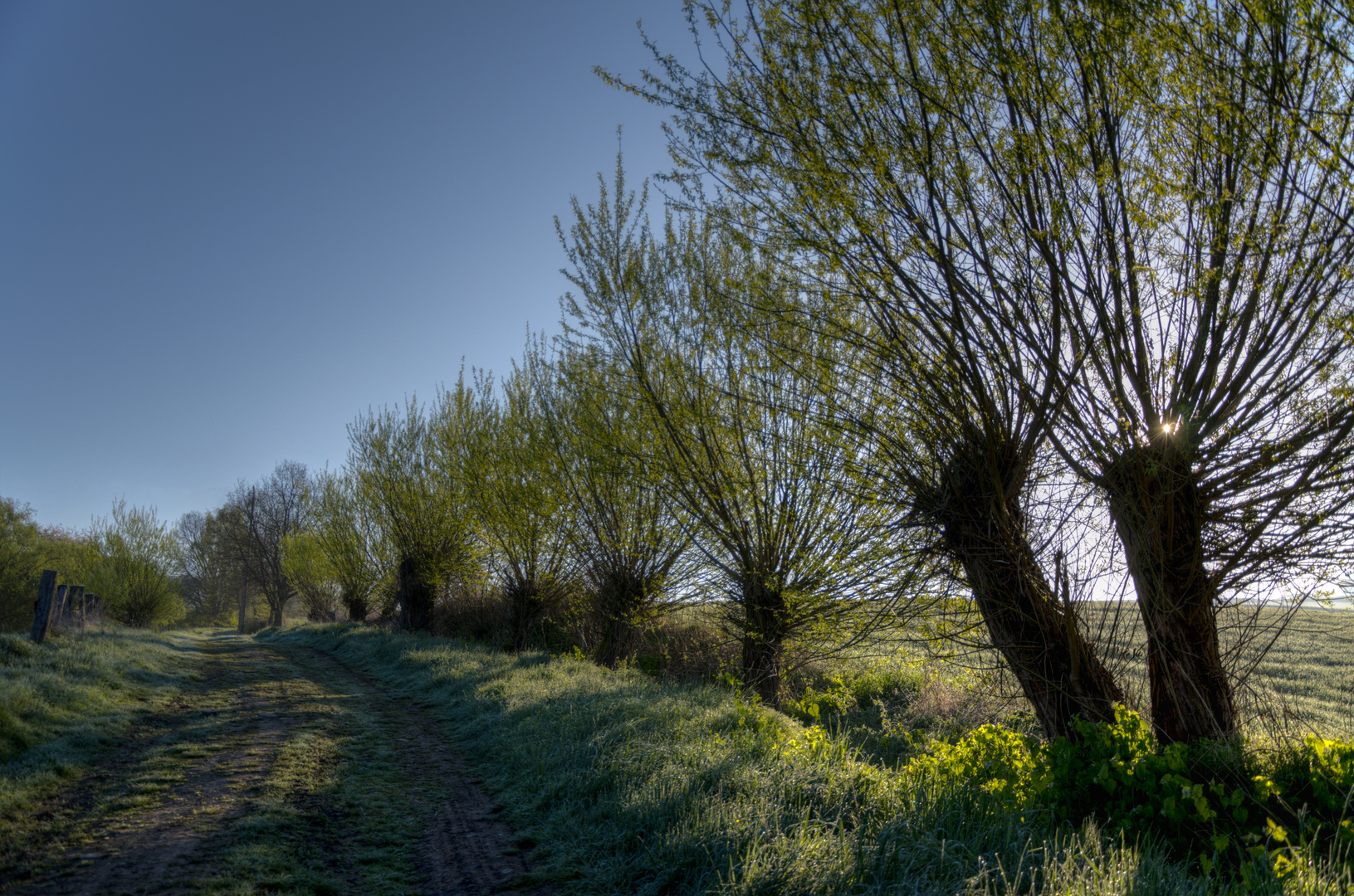 Frühlingsmorgen