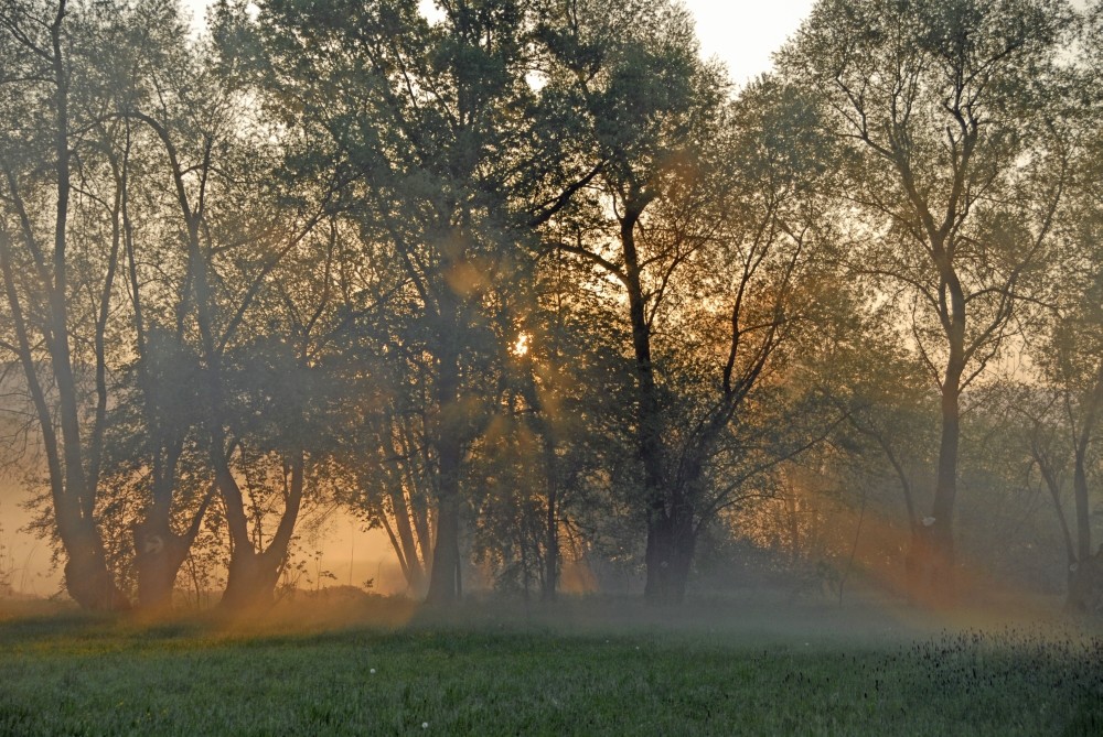 Frühlingsmorgen 3