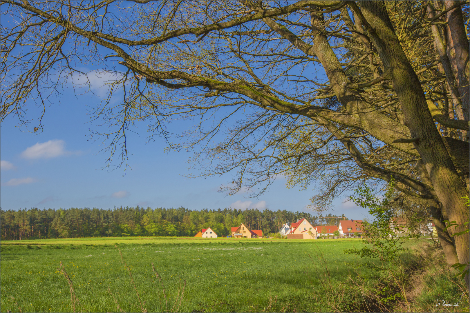 Frühlingsmorgen