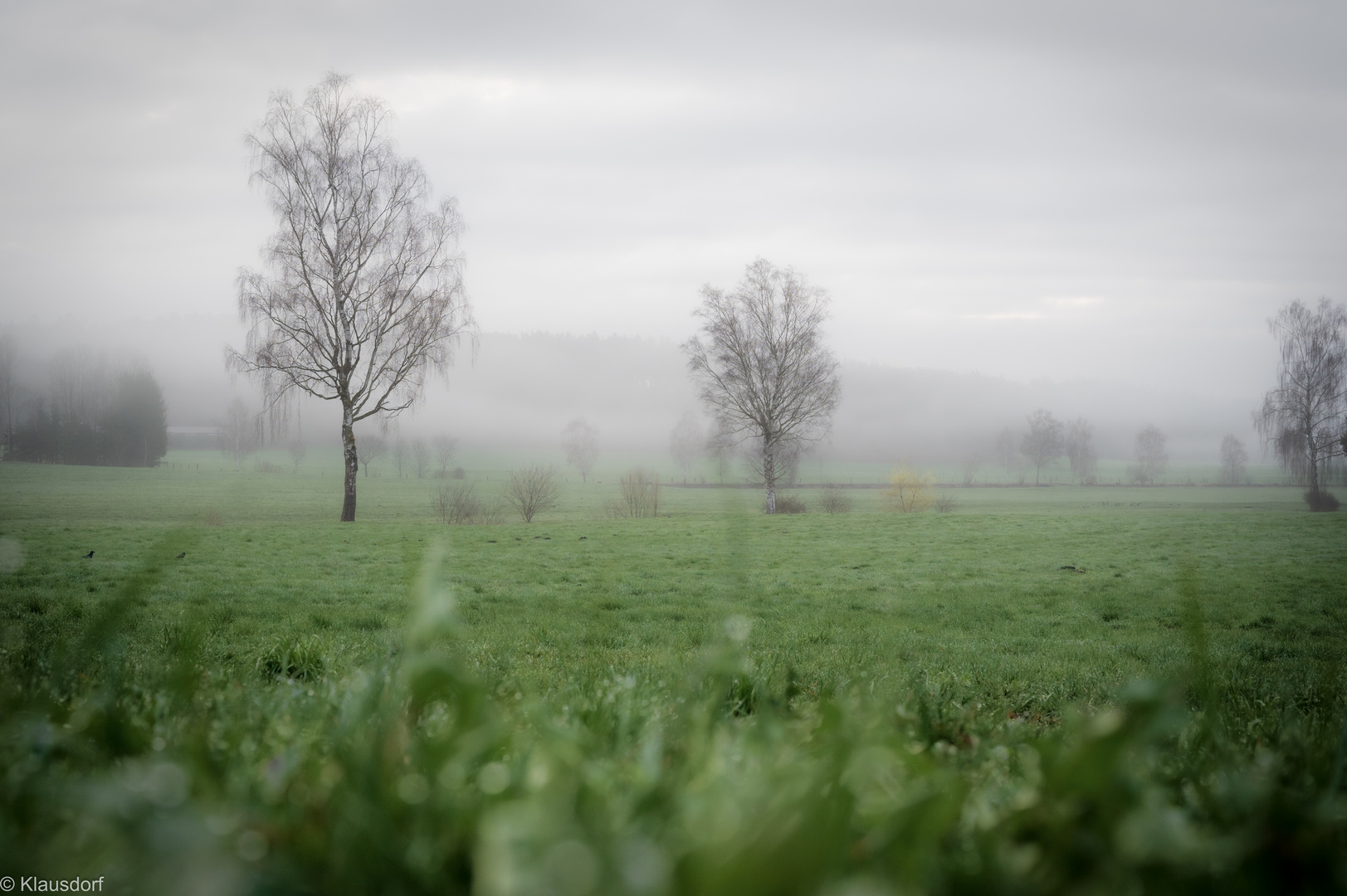 Frühlingsmorgen