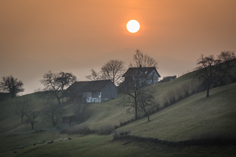 Frühlingsmorgen