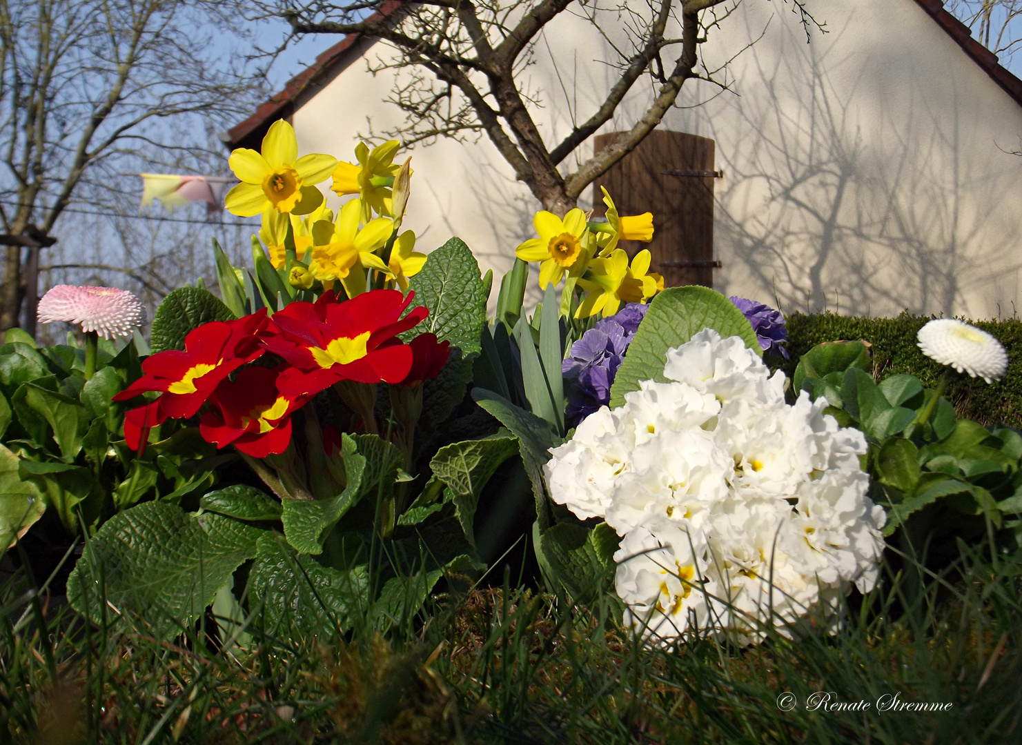 Frühlingsmorgen