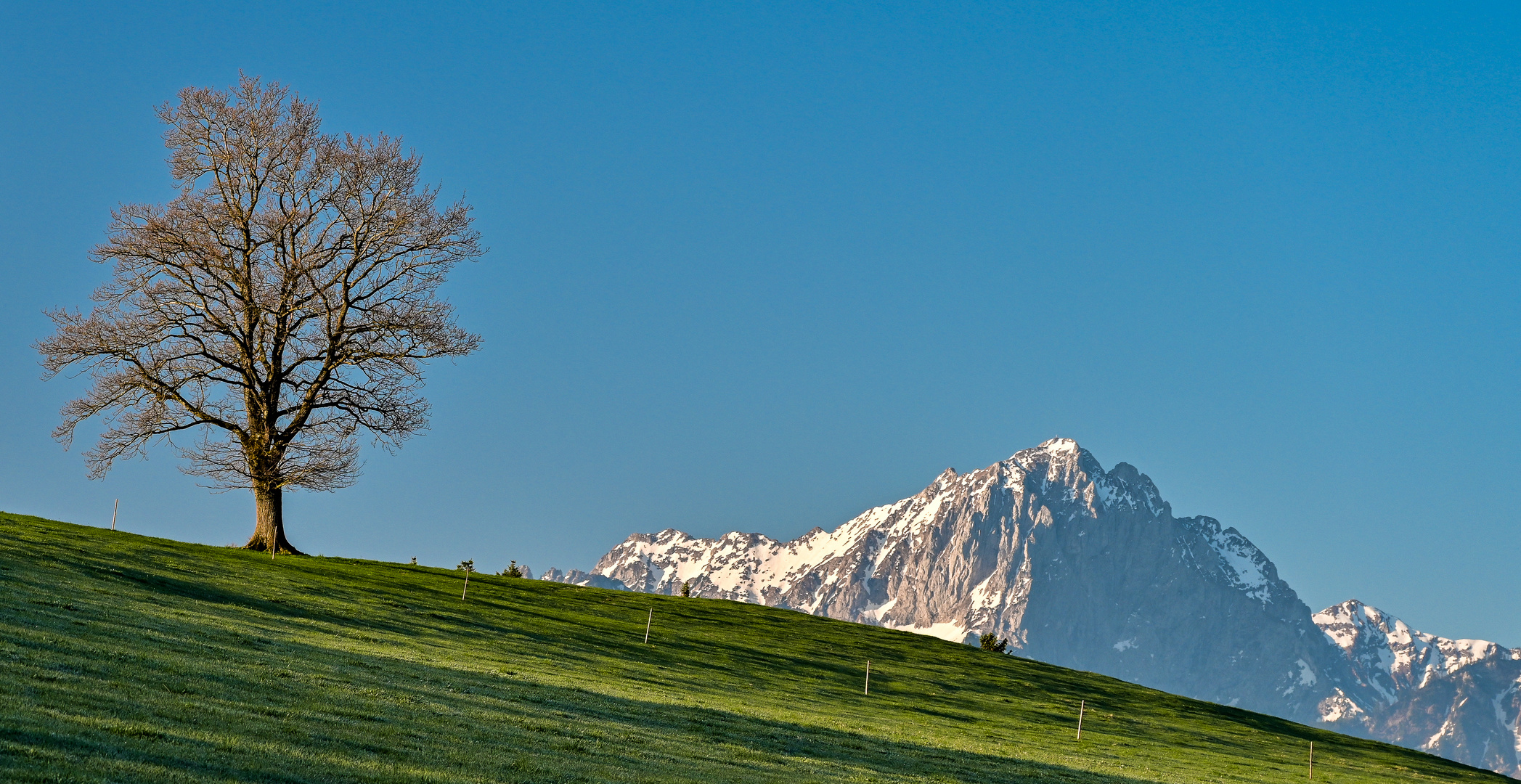 Frühlingsmorgen