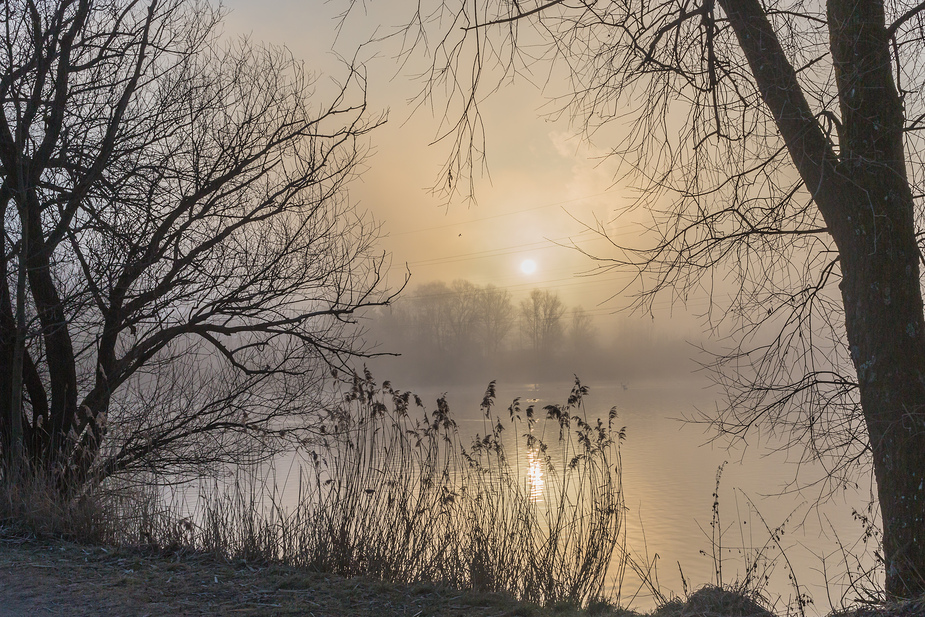 Frühlingsmorgen