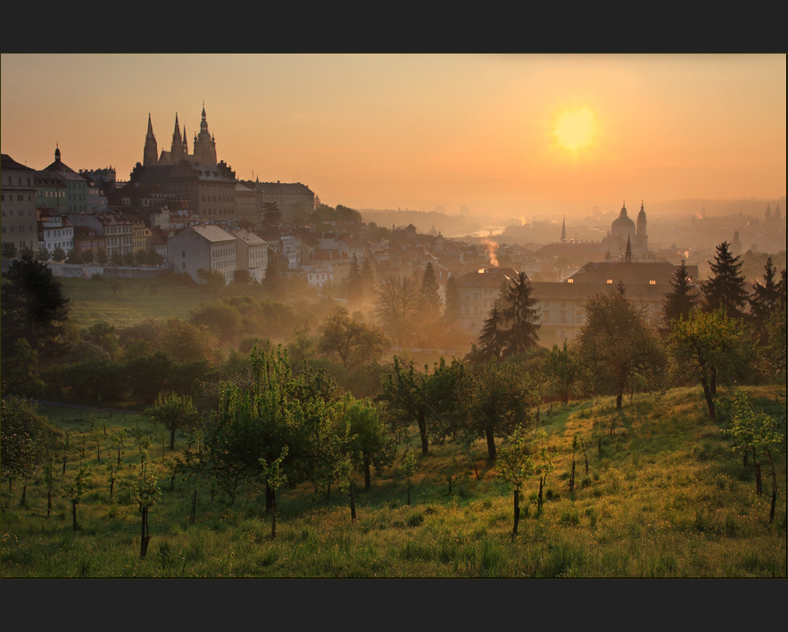 Frühlingsmorgen