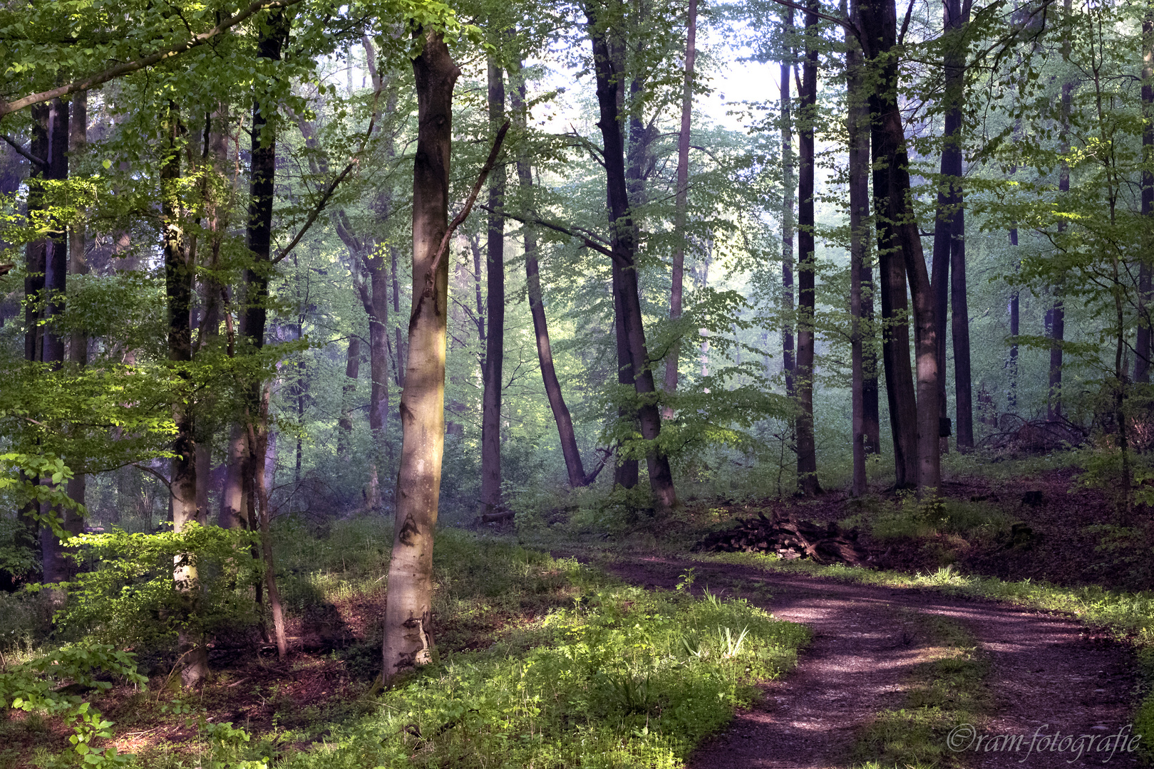 Frühlingsmorgen