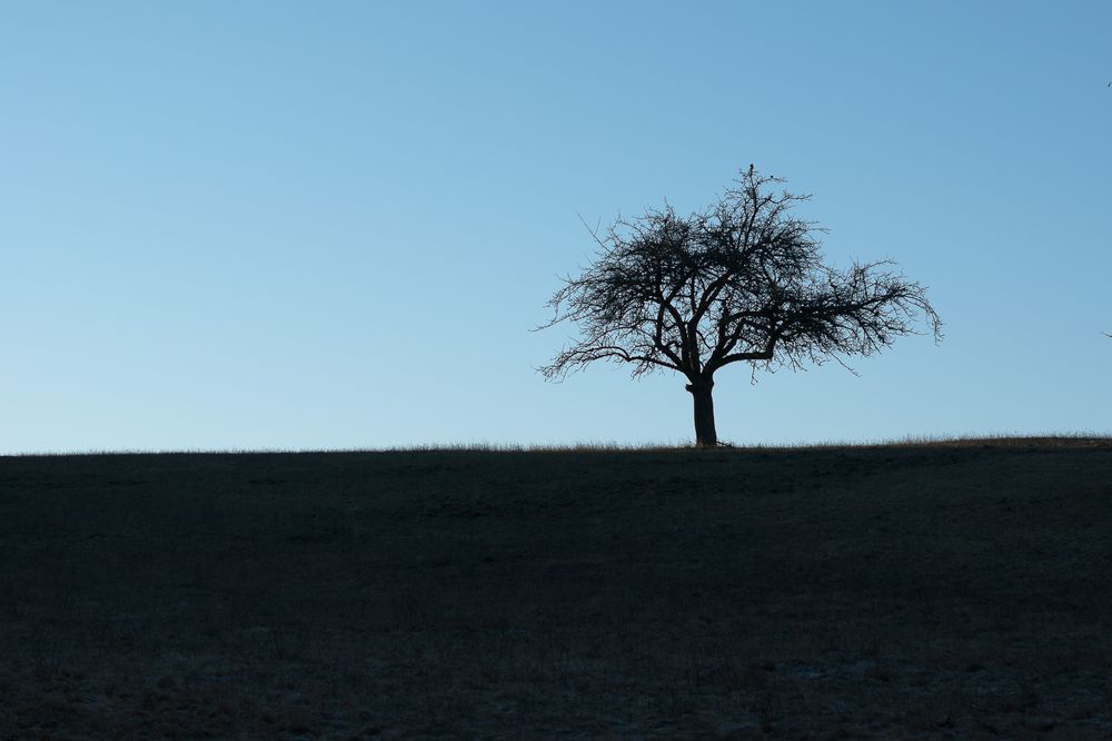 Frühlingsmorgen