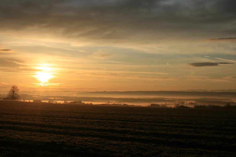 Frühlingsmorgen