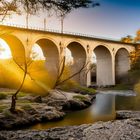 Frühlingsmorgen am Fluss 