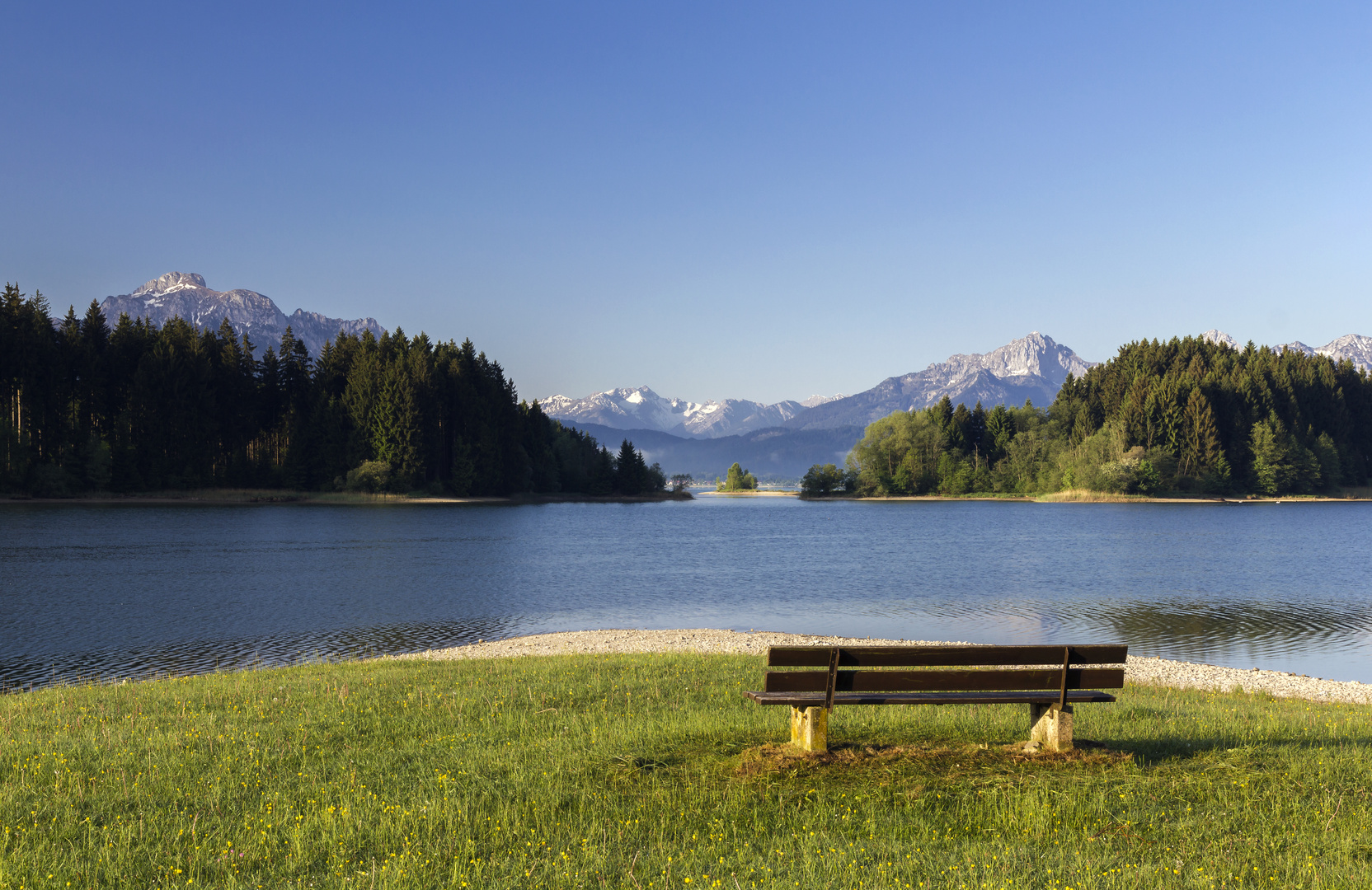 Frühlingsmorgen am Illasbergsee