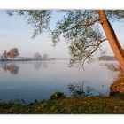 frühlingsmorgen am see