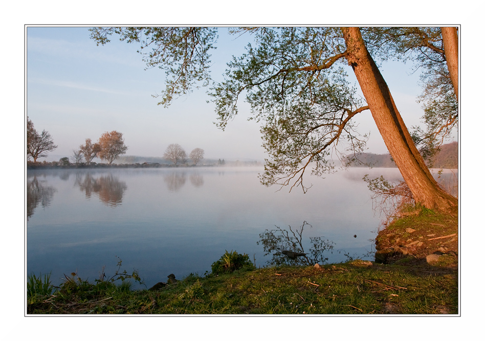 frühlingsmorgen am see