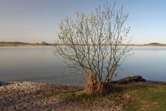 Frühlingsmorgen am See