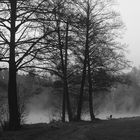 Frühlingsmorgen am See