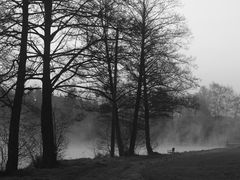 Frühlingsmorgen am See