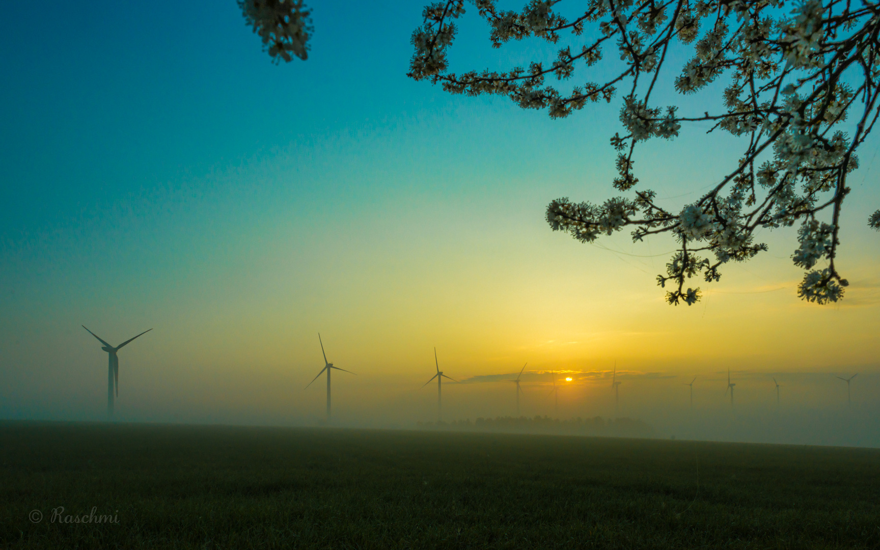 FRÜHLINGSMORGEN am WINDPARK