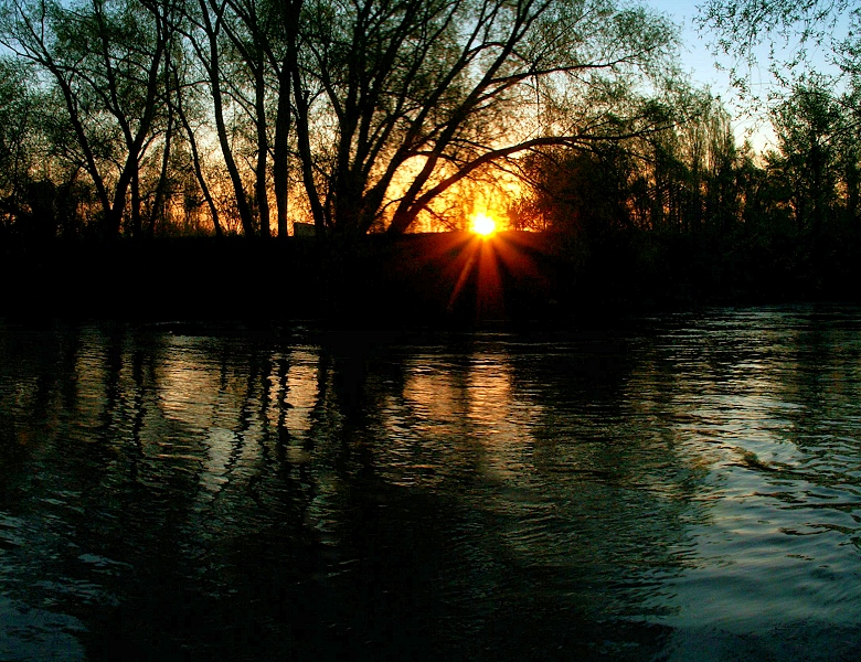 Frühlingsmorgen an der Alten Oder