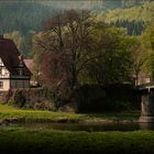 Frühlingsmorgen an der Weser